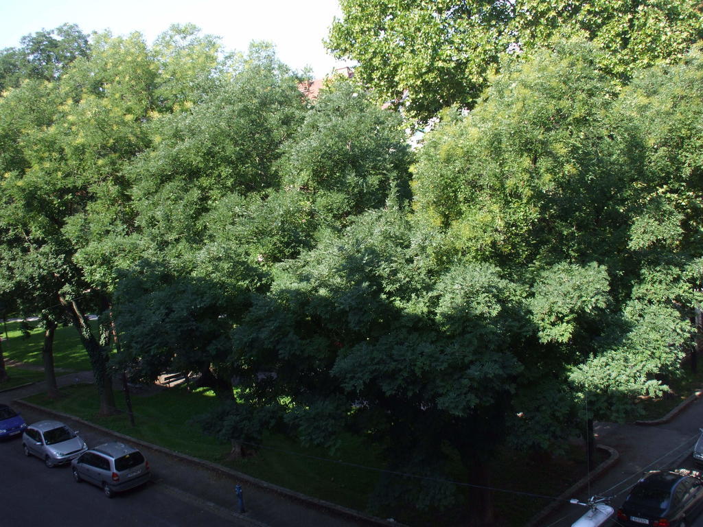 Appartement St. Leonhard 그라츠 외부 사진